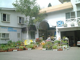 アネックスかしわや